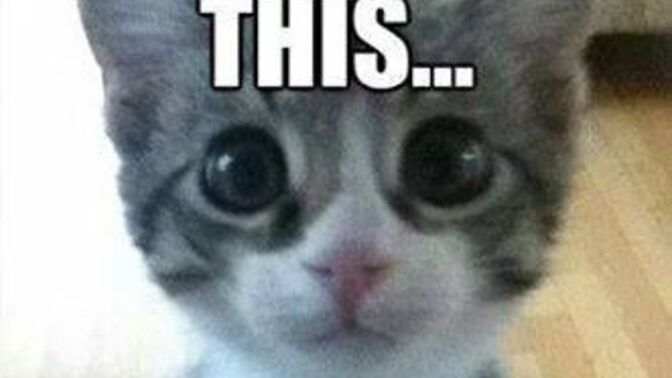What was the last thing that made you go awwww?