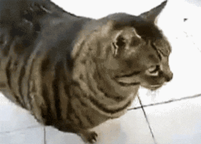 Is there such thing as healthy pussy?
