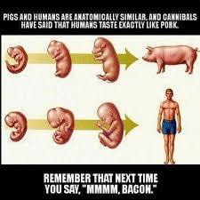 Am I a cannibal?