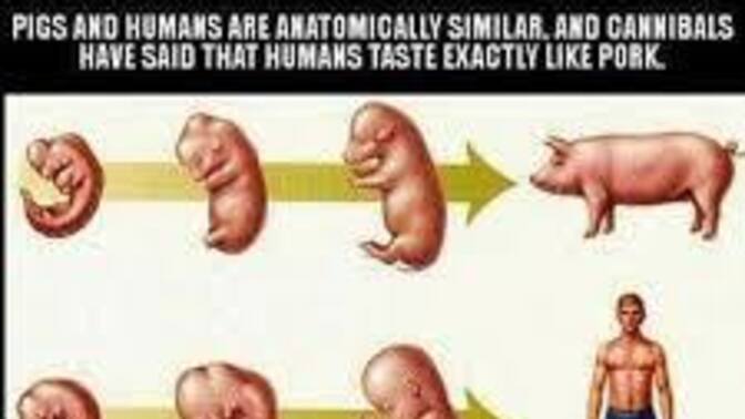 Am I a cannibal?