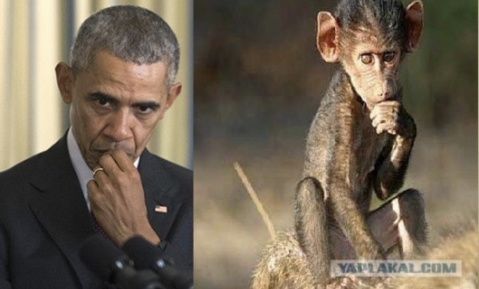 Zero outrage over this. Ya know why?
