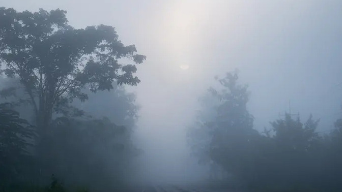 Do you like foggy weather?