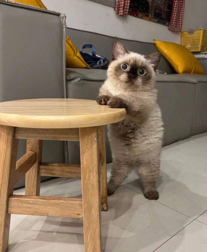 What is his name, His name is the last thing you ate?