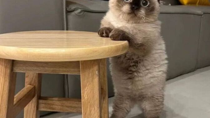 What is his name, His name is the last thing you ate?
