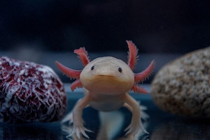 Hello!