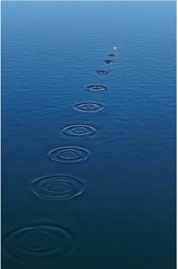 Can you skim a stone across water?