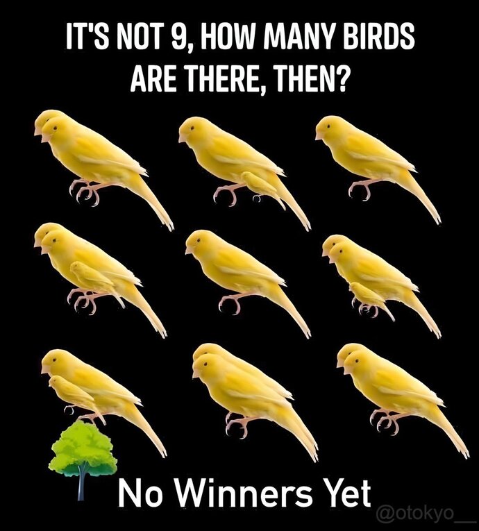 How many ๐ฆ birds can you tell?