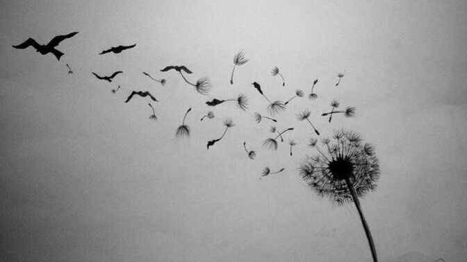 Do you let go easily…?