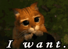 What do you do when something you really want doesnt happen?