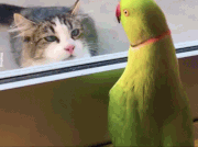 Have you ever been called a stage 5 clinger?