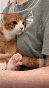 Have you ever been called a stage 5 clinger?