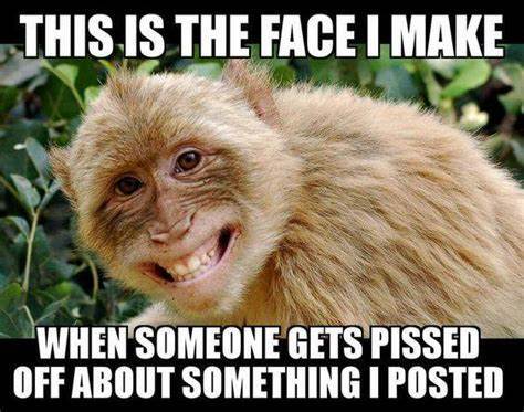 Monkey gives birth to a ginger baby. Is it time for a paternity test?