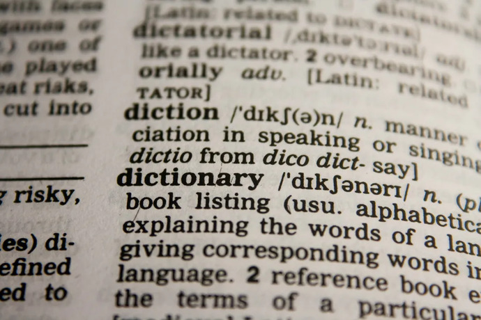 What are some new words you have recently learned?