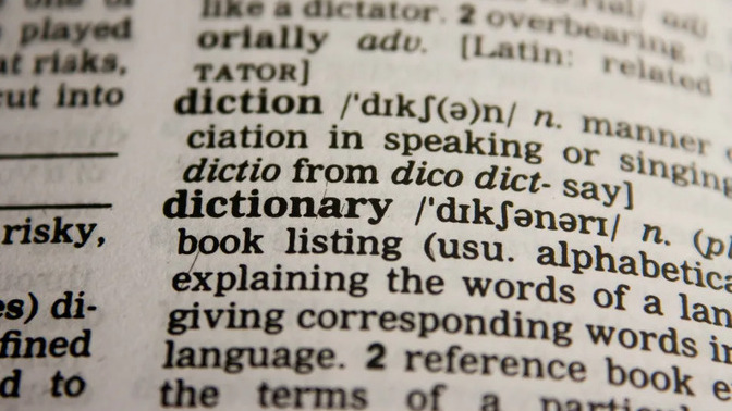 What are some new words you have recently learned?