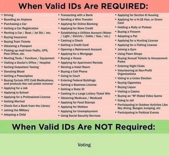 Which American citizens are incapable of getting a photo ID?