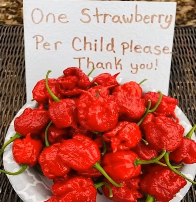Is It Fair to Limit What the Child Can Eat?