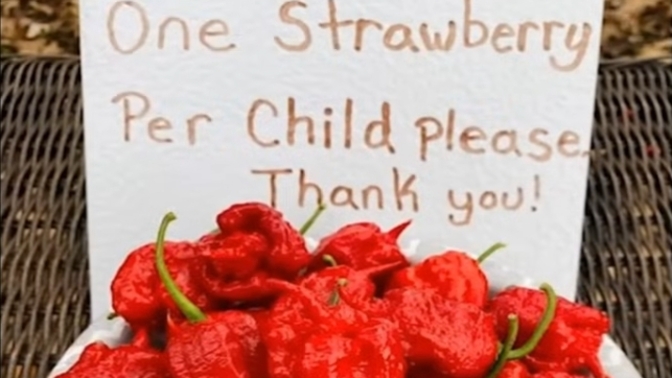 Is It Fair to Limit What the Child Can Eat?