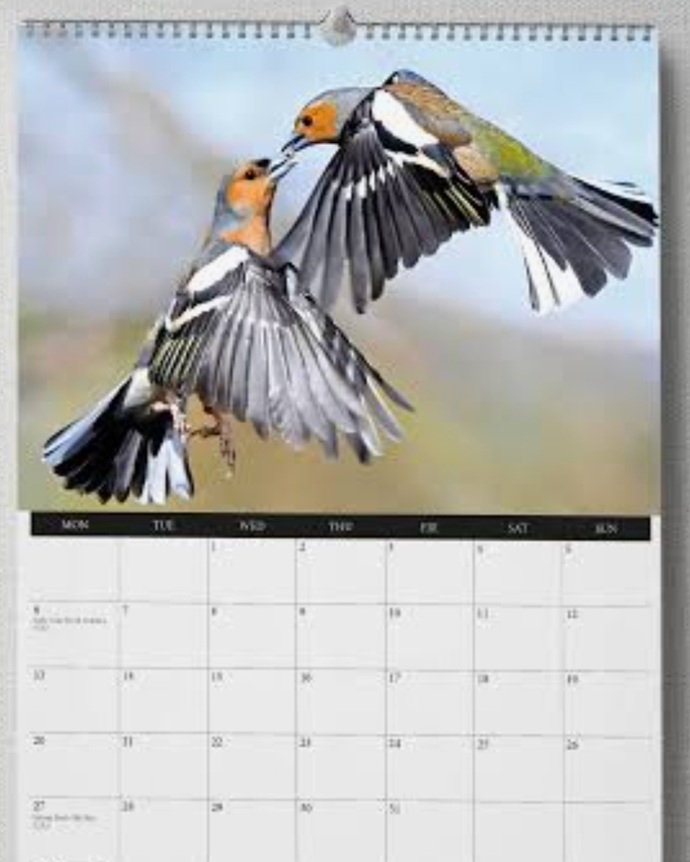 Do You Like Calendars, If So What Type Of Calendar Do You Like, And What Do You Do With Them?