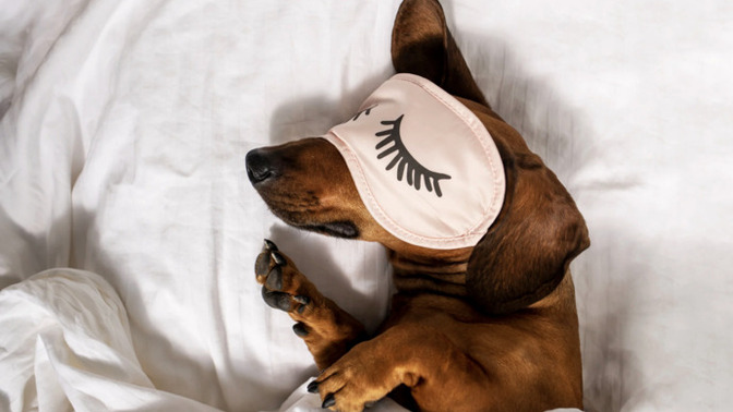 How do you know you've had a great night's sleep?