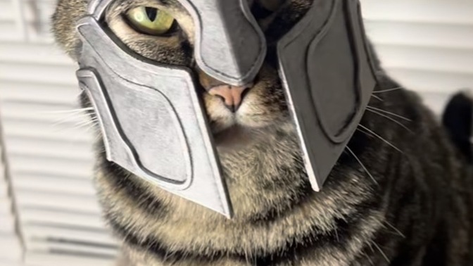 What kind of costume would you like to dress your pet in?