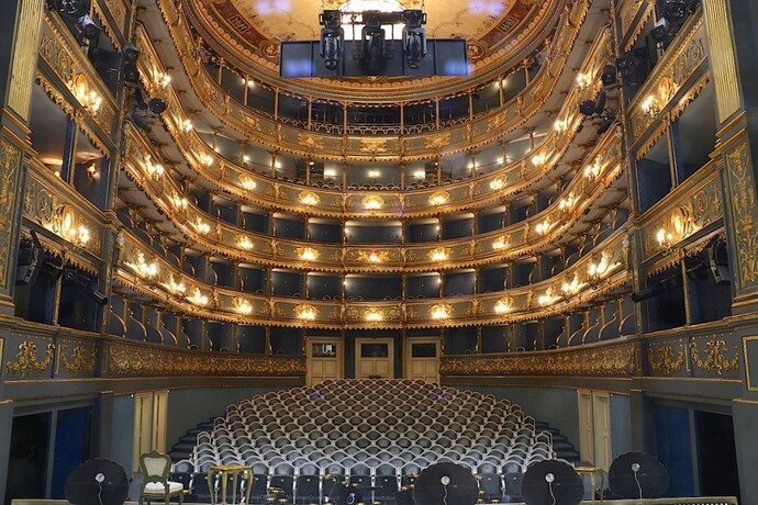 Have you gone to see a live play or musical?