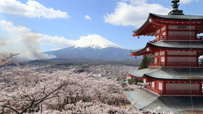 Japan is canceling the Cherry Blossom Festival Because of Tourusts Do You Think They Are Over Reacting?