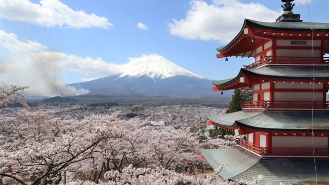 Japan is canceling the Cherry Blossom Festival Because of Tourusts Do You Think They Are Over Reacting?