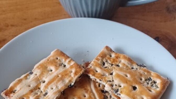 Do you like Garibaldi biscuits?