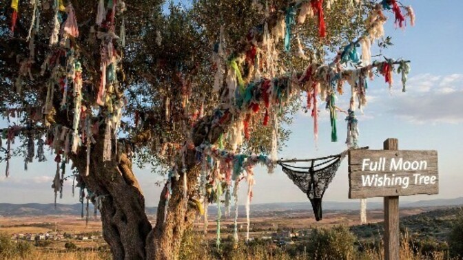 What color underwear did you wear today?