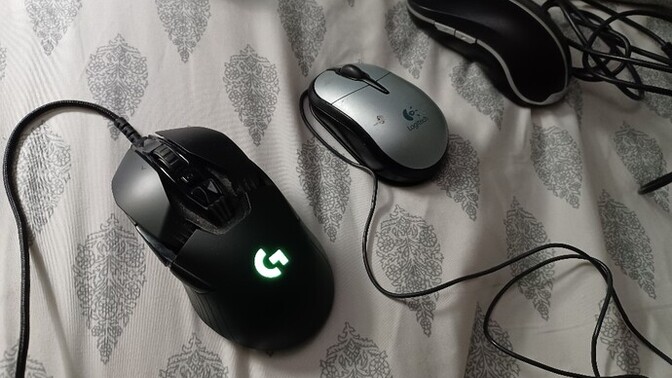 Some guy thinks these mice are all crap for continuous use?