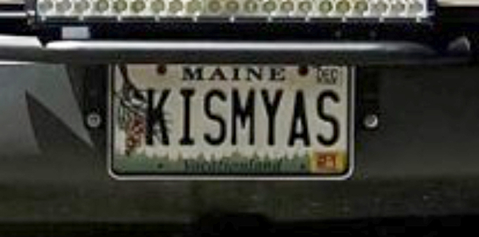 Should the state have revoked this man's license plate?