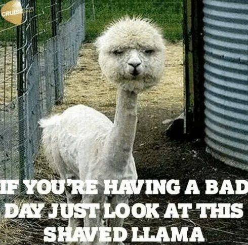 Are you having a bad day?