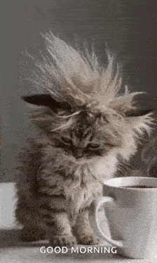 Are you having a bad day?