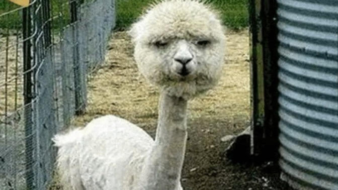 Are you having a bad day?