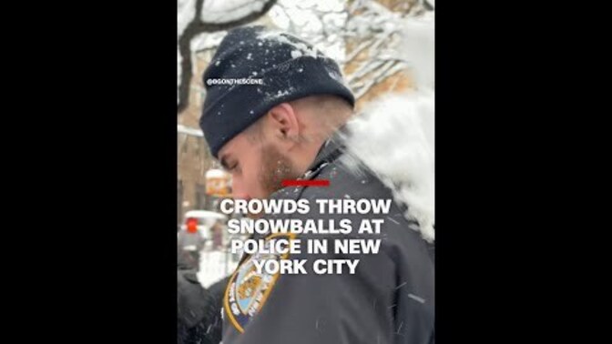 What do you think of the behavior of these Democrats in NYC?