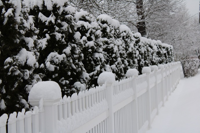 Winter Wonderland?