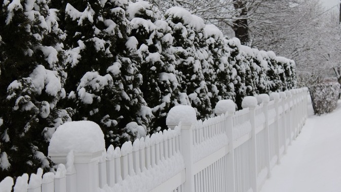 Winter Wonderland?