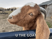 Are you the GOAT or a goat?