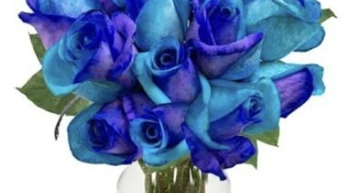 Flowers. . Sweet or lame?
