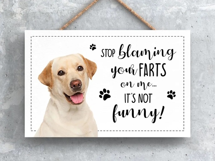 Are farts funny?