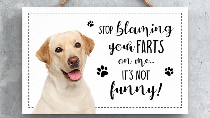 Are farts funny?