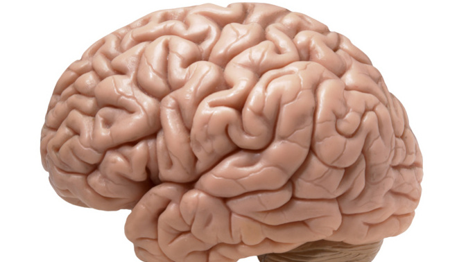 How does qualia arise from physical brain matter?