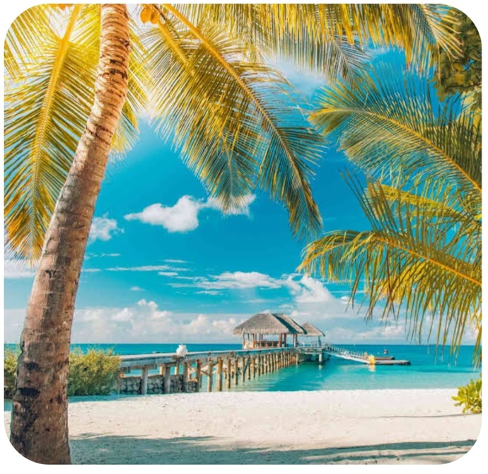 Where Would You Have Your Honeymoon, Or Where Did You Have Your Honeymoon?