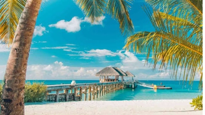 Where Would You Have Your Honeymoon, Or Where Did You Have Your Honeymoon?