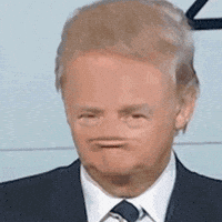 🗳