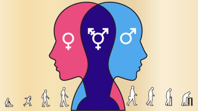 Is being a man or a woman mainly social or purely biological?