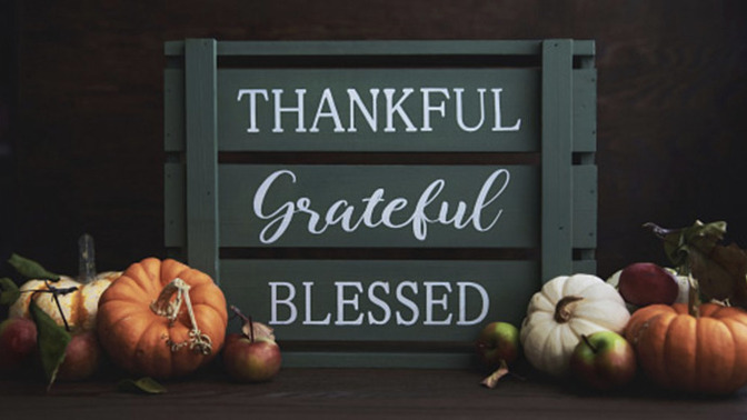 What’s one totally random thing you’re genuinely grateful for?