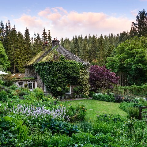 Which of these garden styles do you prefer?