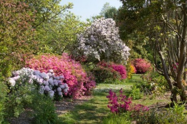 Which of these garden styles do you prefer?
