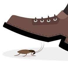 Do you step on bugs?